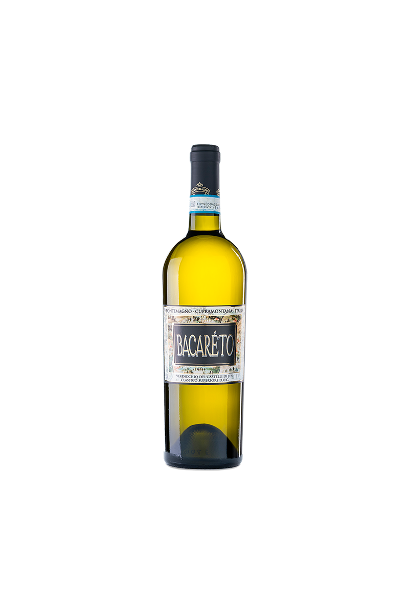 VERDICCHIO DEI CASTELLI DI JESI CLASSICO SUPERIORE DOC BACARETO 2022 CL75 13,5% PONTEMAGNO